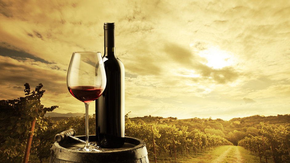 Degustácia vína 2019